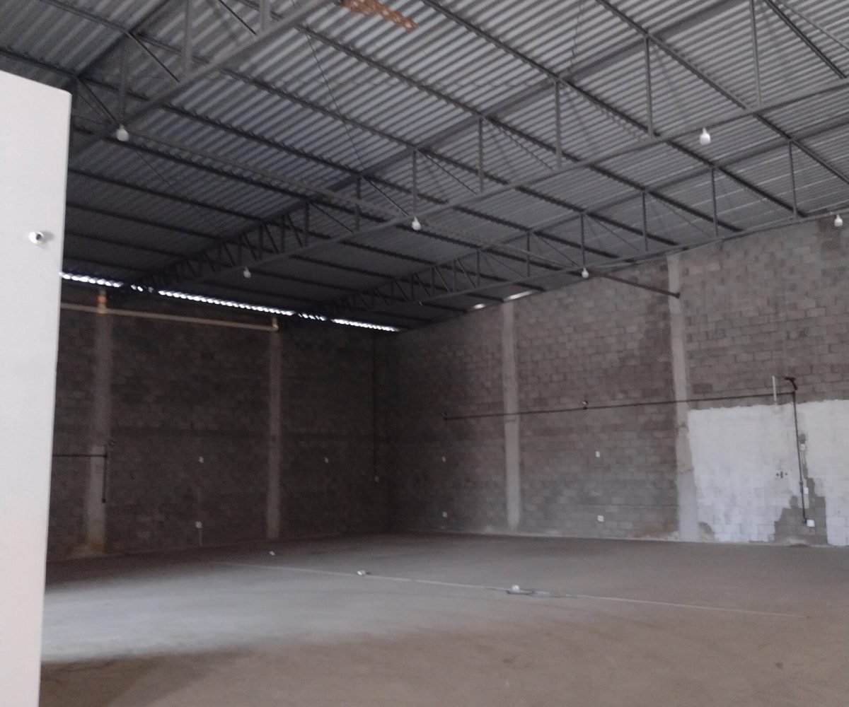 IMG_20240627_122951704_MP